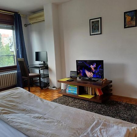 Apartment Student City, Wifi 300Mbs Beograd Ngoại thất bức ảnh