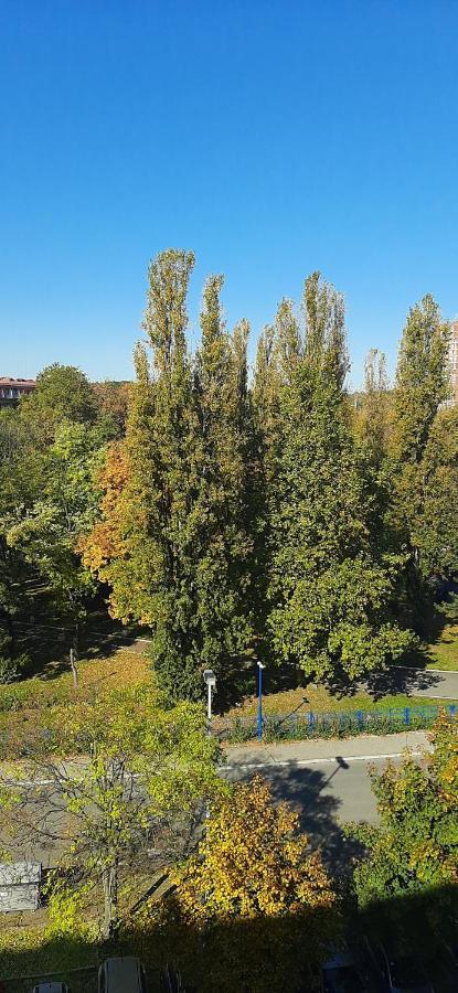 Apartment Student City, Wifi 300Mbs Beograd Ngoại thất bức ảnh